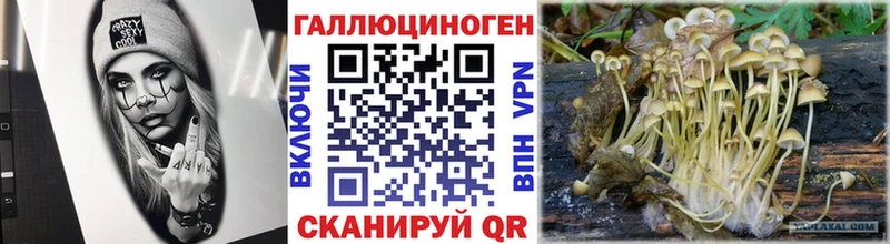 Галлюциногенные грибы Magic Shrooms  Кирово-Чепецк 